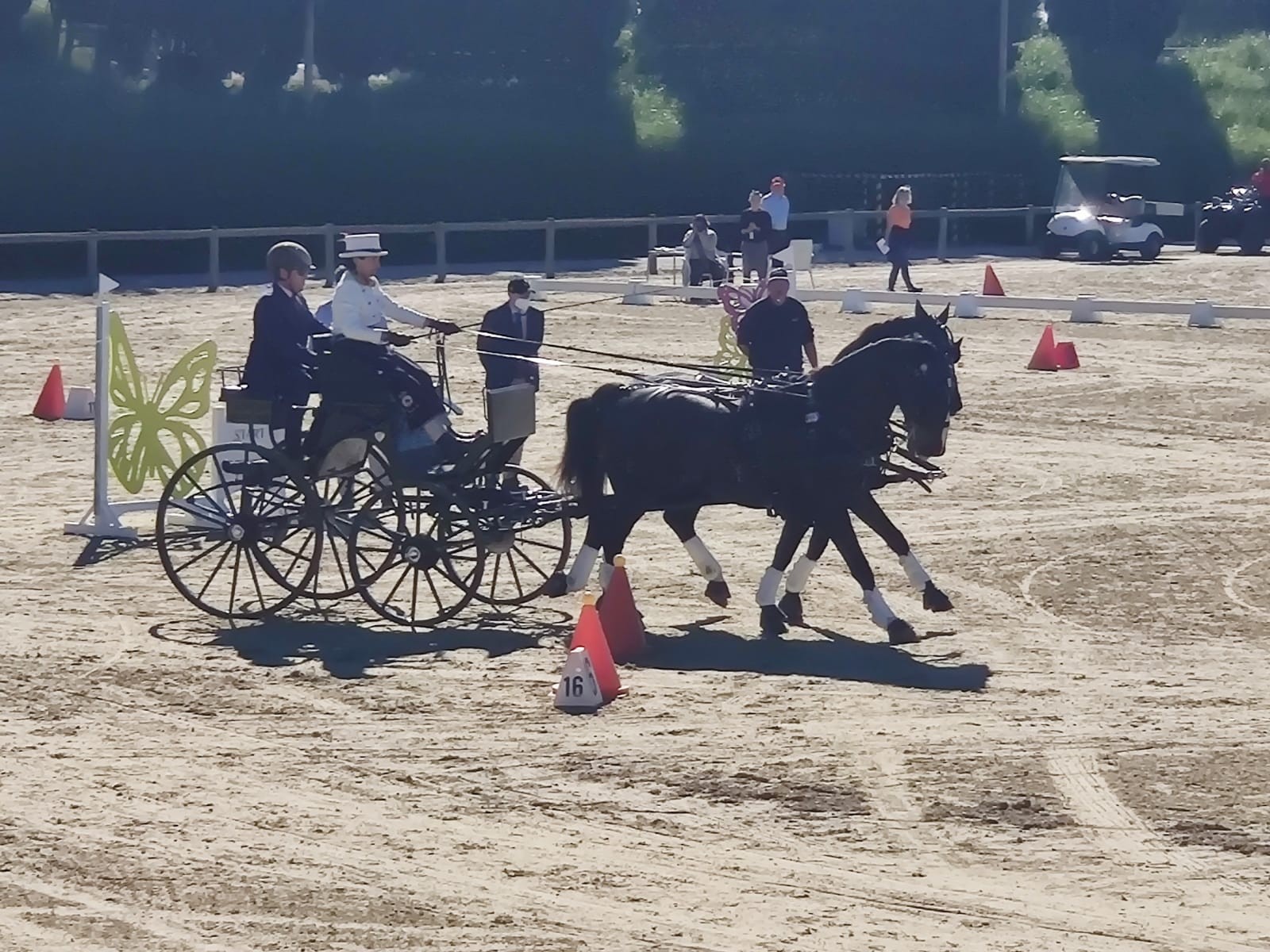 Triple podio navarro en la Copa Iberica FEI de Enganches